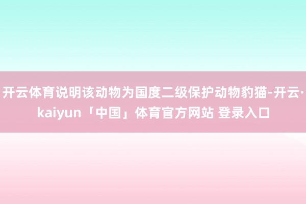 开云体育说明该动物为国度二级保护动物豹猫-开云·kaiyun「中国」体育官方网站 登录入口