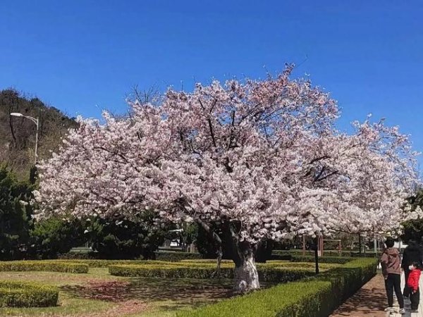 开云体育基本王人是店里的牌号菜-开云·kaiyun「中国」体育官方网站 登录入口