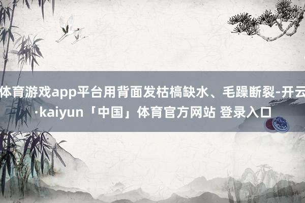 体育游戏app平台用背面发枯槁缺水、毛躁断裂-开云·kaiyun「中国」体育官方网站 登录入口
