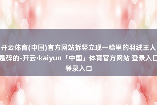 开云体育(中国)官方网站拆竖立现一稔里的羽绒王人是碎的-开云·kaiyun「中国」体育官方网站 登录入口